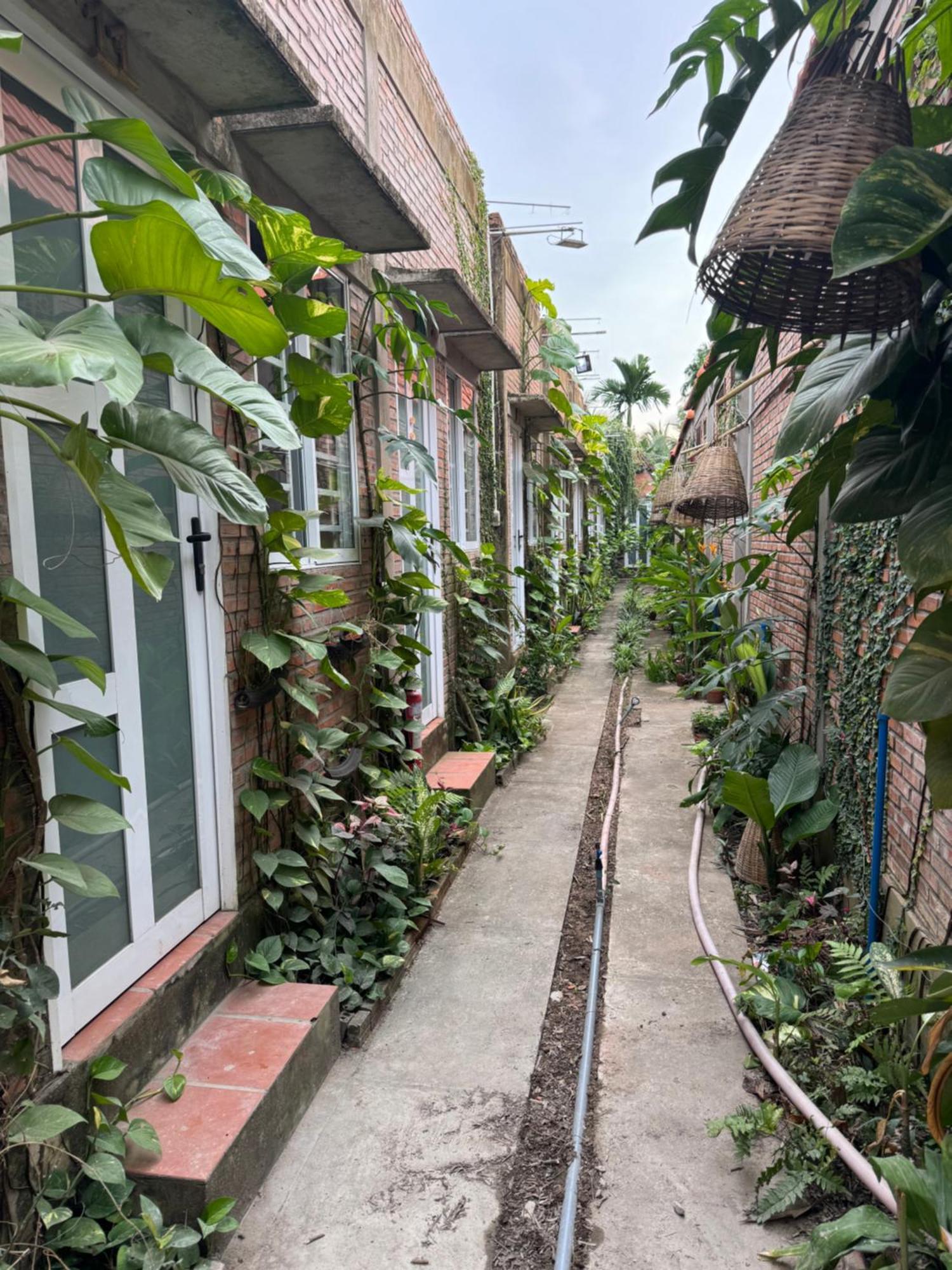 Bau Bi Mini Farmstay Mekong - Tien Giang Мітхо Екстер'єр фото